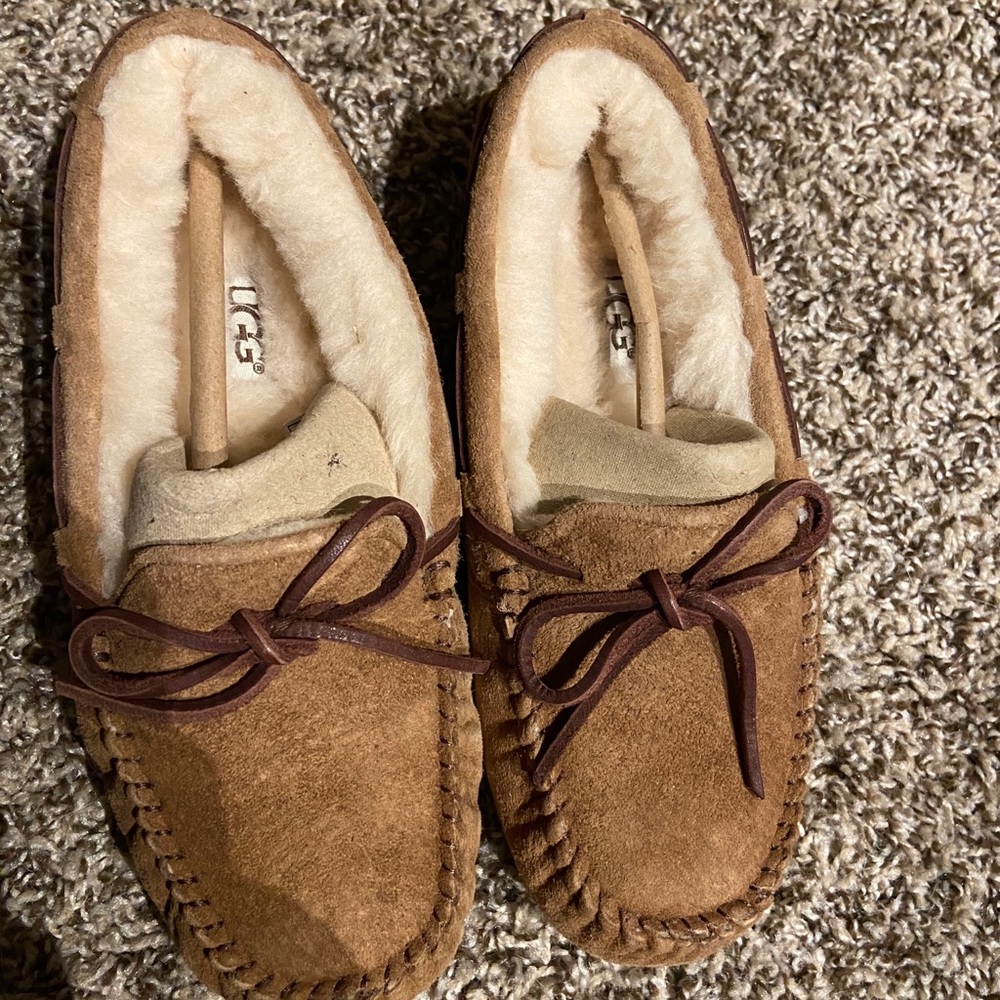Dakota UGG Slippers-Chestnut Never Warn-In box